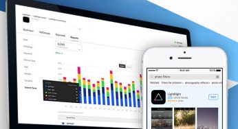 Apple Search Ads Management: Case Study